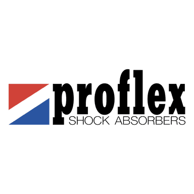 Logo PROFLEX